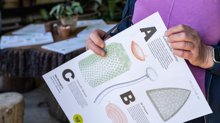 A poster with images of cross sections of plants with the text A - Acknowledge ;  B - Be Present ; C - care for nature